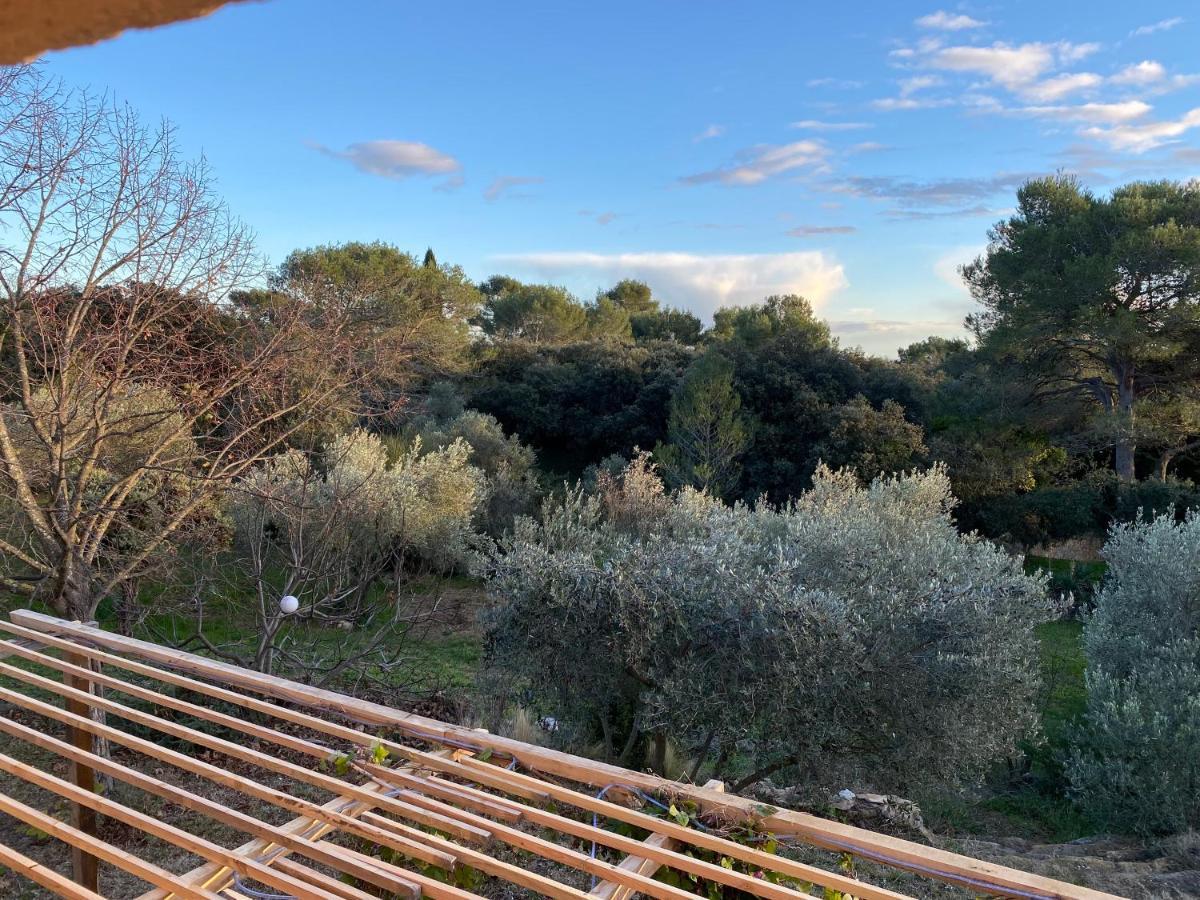 Charmant Mazet Nîmes Exteriér fotografie